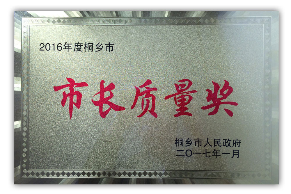 2016年度-桐乡市市长质量奖